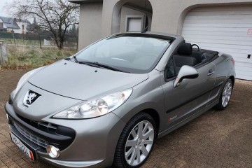 Peugeot 207 150 Turbo Le Mans Series