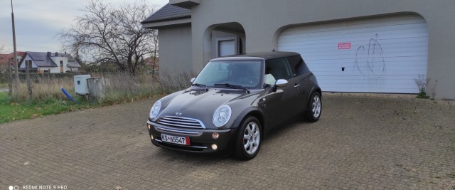 mini